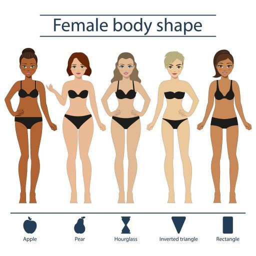 different body shapes for women